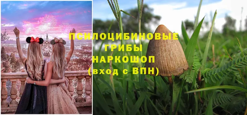 Галлюциногенные грибы MAGIC MUSHROOMS  купить наркотик  Благовещенск 